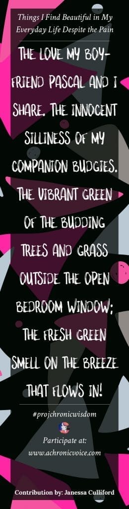 The love my boyfriend Pascal and I share. The innocent silliness of my companion budgies. The vibrant green of the budding trees and grass outside the open bedroom window; the fresh green smell on the breeze that flows in! - Janessa Culliford