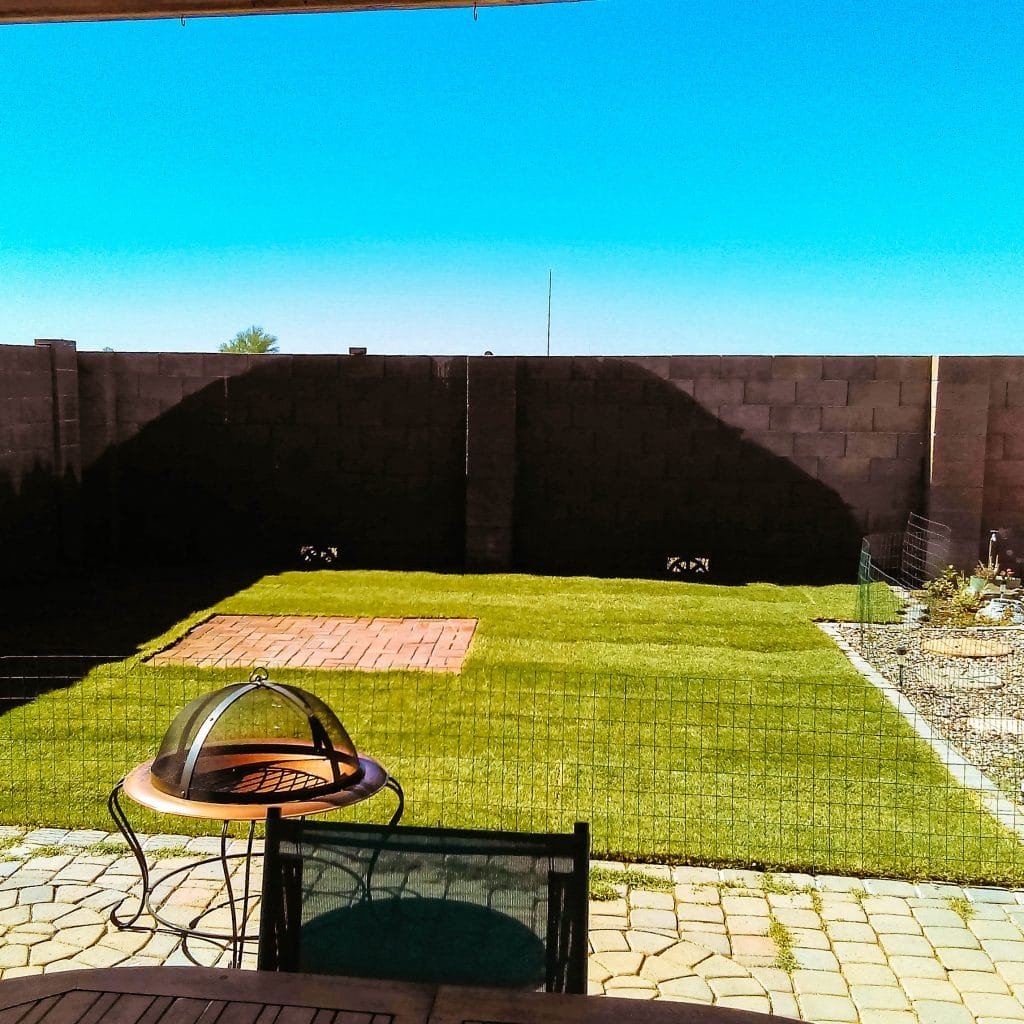 Yard, after.