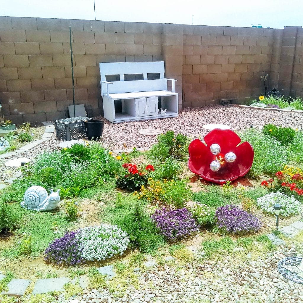 Beautiful yard.