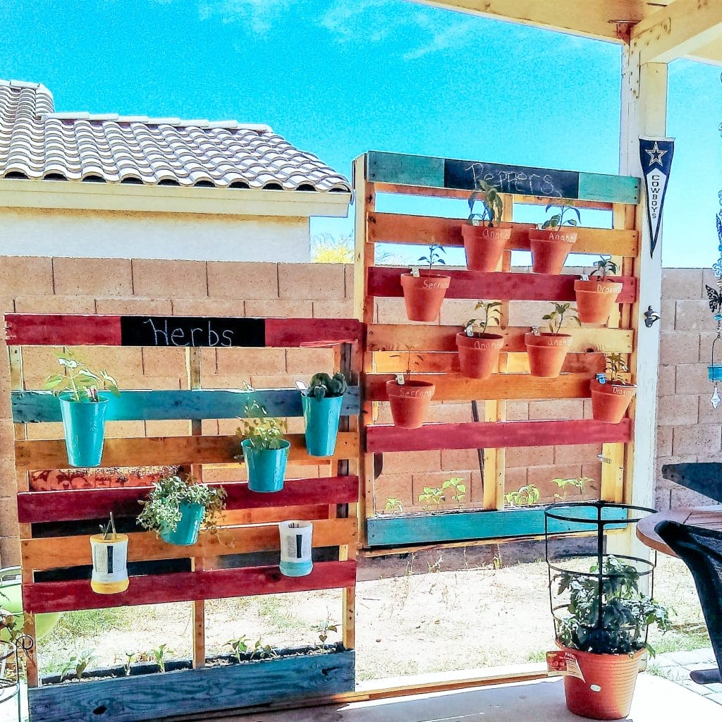 Pallet garden.