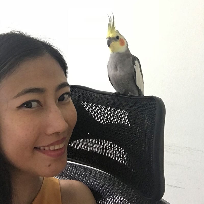 Weird bird lady | www.achronicvoice.com
