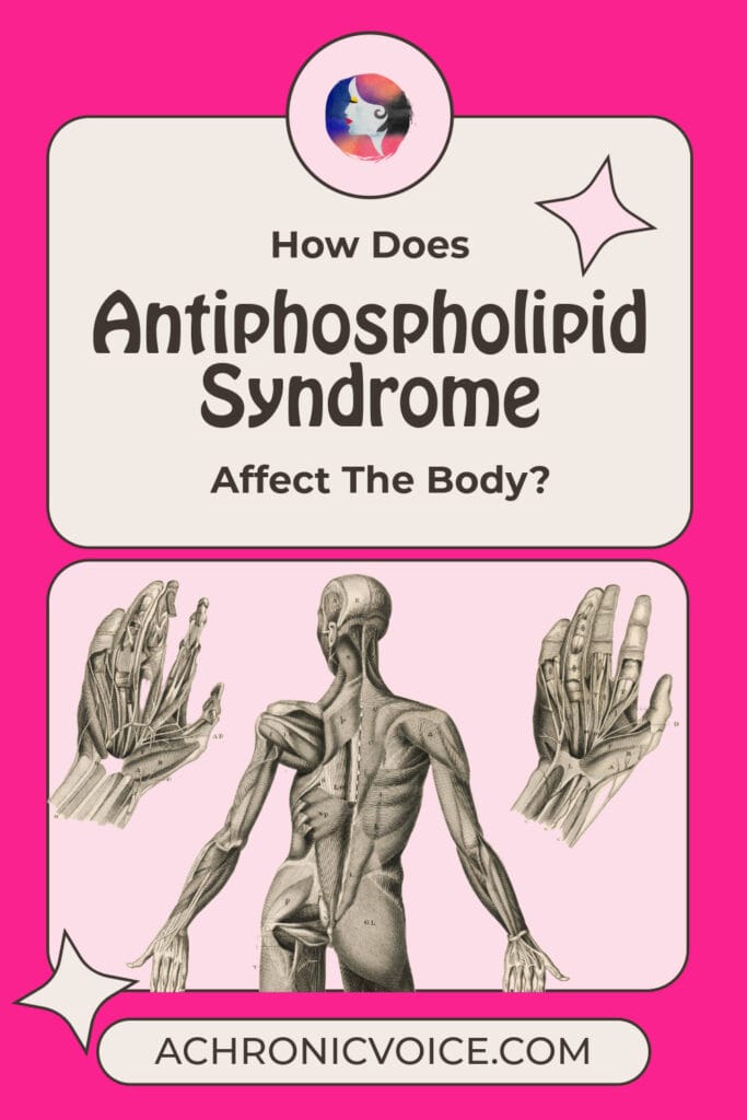 How Does Antiphospholipid Syndrome Affect the Body?
