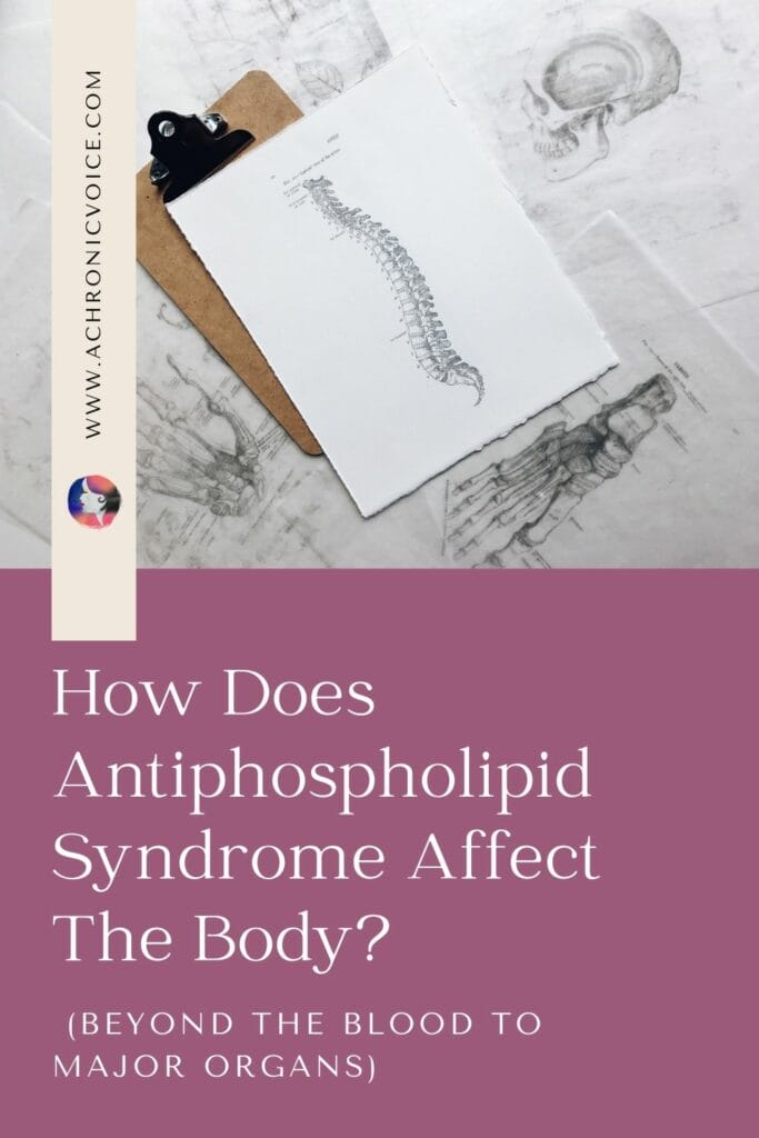 How Does Antiphospholipid Syndrome Affect the Body? (Beyond the Blood to Major Organs)
