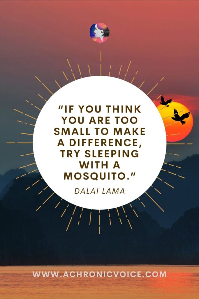 “If you think you are too small to make a difference, try sleeping with a mosquito.” - Dalai Lama